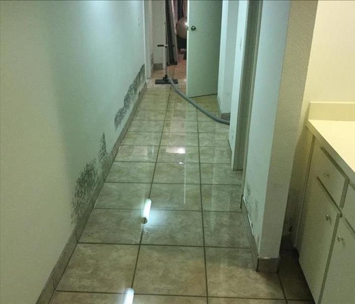 water pooling on tile floor in hallway with mold stains on the walls